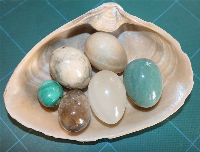 Large Shell with 6 Miniature Stone Eggs 
