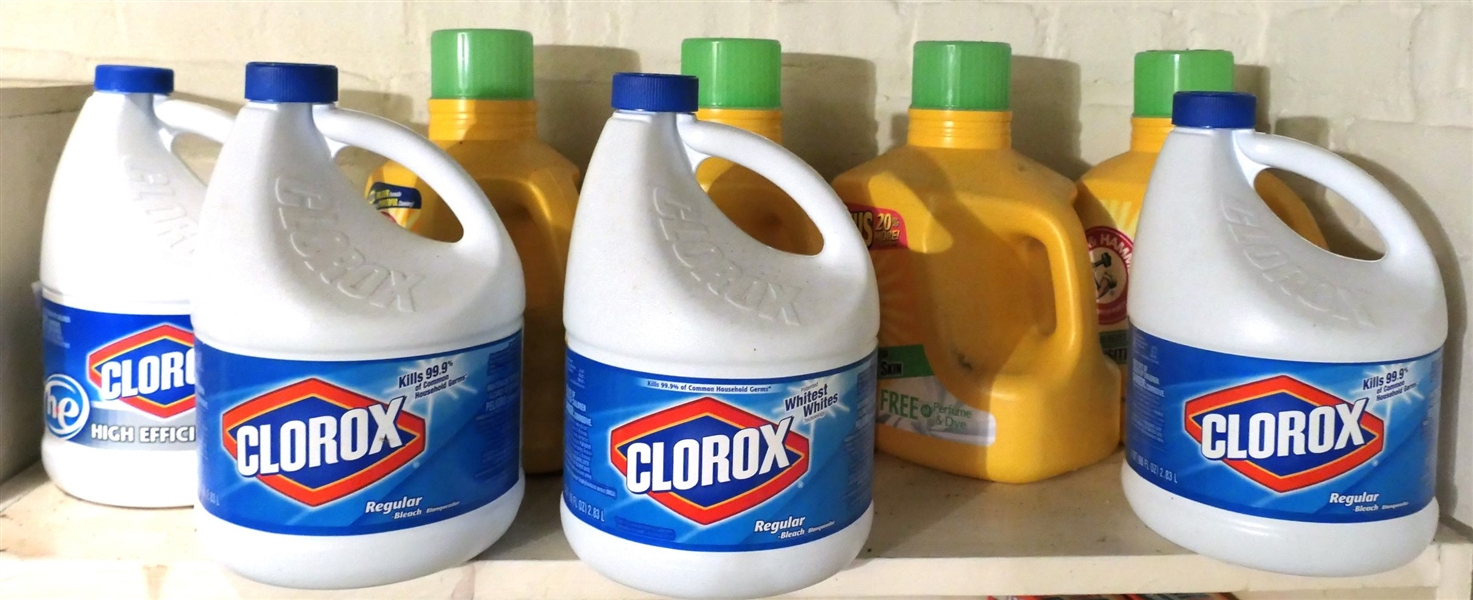 4 Bottles of Arm & Hammer Laundry Detergent and 4 Bottles of Clorox 