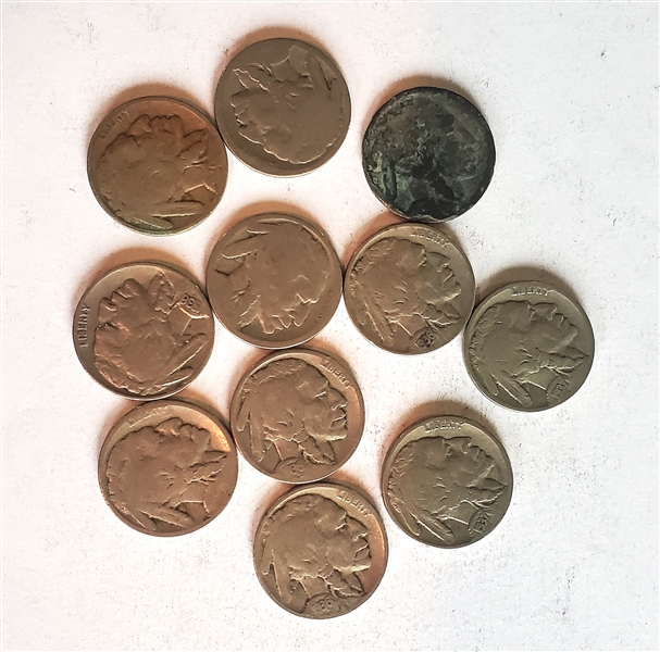 11 Buffalo Nickels - Coins Are Directly From the Estate and Have Not Been Searched or Sorted