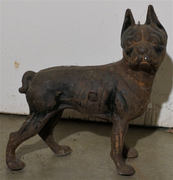 Cast Iron French Bull Dog Door Stop - Measures 9 1/2" tall 8" Long - Some Original Paint