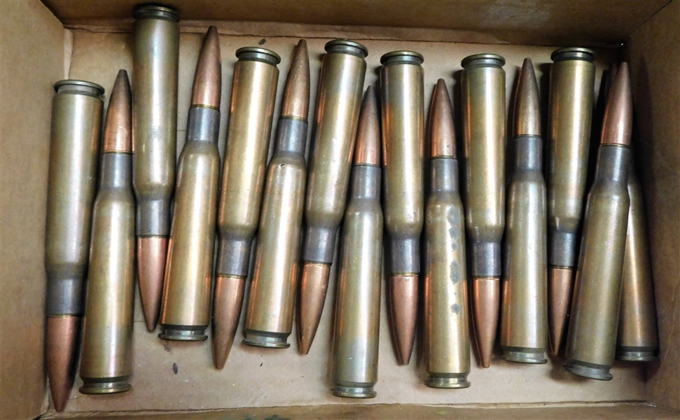 15 .50 Cal BMG Bullets