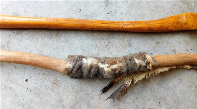 2 Native American Walking Sticks - Taller One Has Fur, Feathers, and Hide