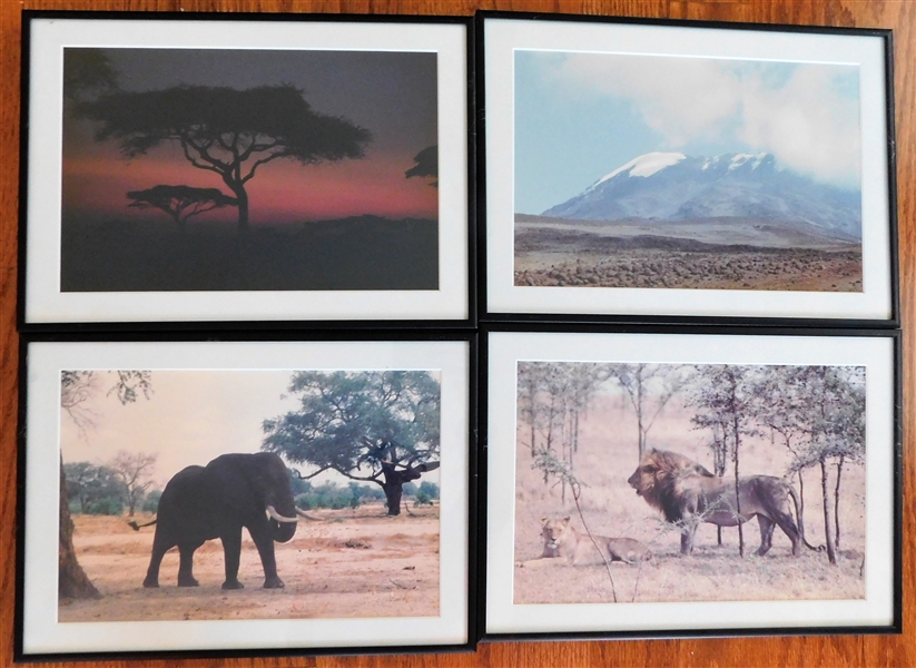 Series of 4 African Photographs including Sunset, Elephant, Lion, and Mountain - Framed and Matted - Frame Measures 10" by 14"