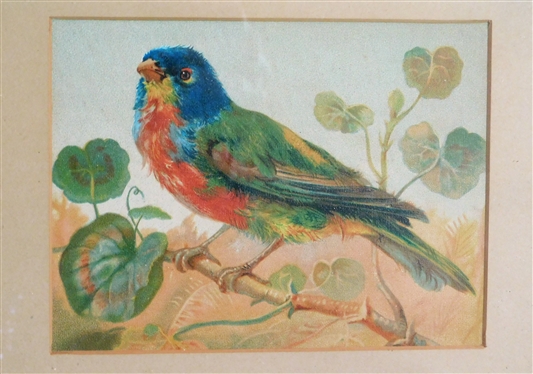 Blue Bird Print in Walnut Criss Cross Frame - Frame Measures 9 by 11 not including trim 