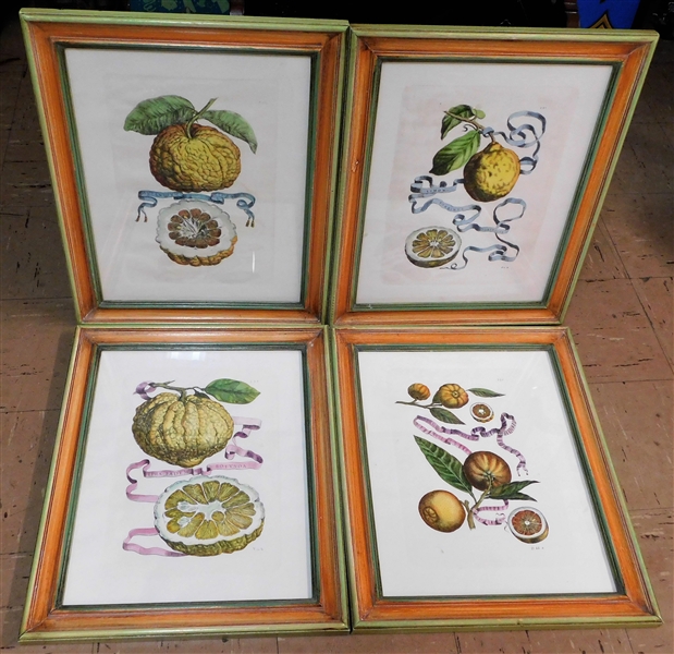 Set of 4 Fruit Prints in Matching Frames - Frames Measure 20" by 16"