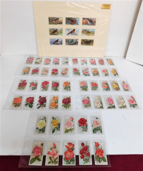 Full Set of 50  Willss Cigarettes Rose Cards and 9 Willss Cigarettes Bird Cards