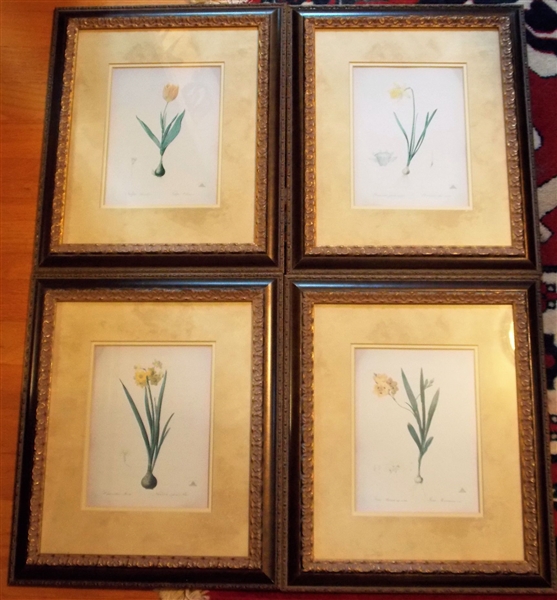 Set of 4 New York Botanical Garden Prints - Framed and Matted - Frames Measure - 15 1/2" by 13 1/4"