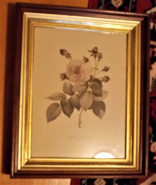 Large Walnut Shadowbox Frame with Rose Print - Frame Measures 20" by 16"