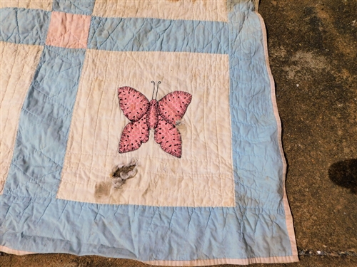 Butterfly Applique Quilt - Hand Stitched- Stained and Has Hole - Measures 83 1/2 by 63