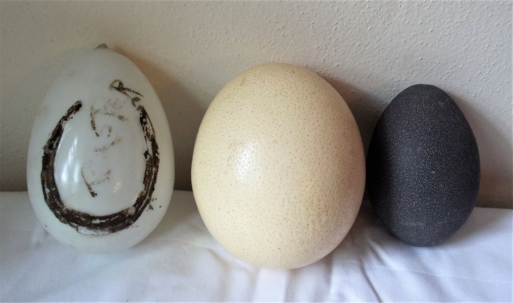 Ostrich Egg, Emu Egg, and 1890s Blown Glass Easter Egg - Glass Egg Measures 6" long