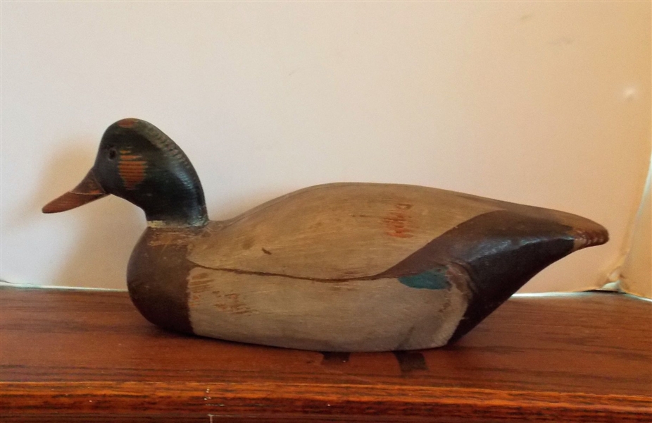 Canvas Back Working Duck Decoy Eastern NC - Original Horseshoe Weight - Signed FF on Bottom - Beak Has Been Repaired - 15" Beak to Tail 5 3/4" Tall 