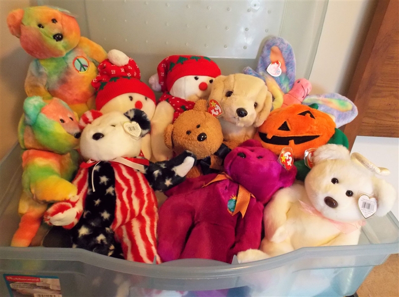 Box of TY Stuffed Animals in Plastic Storage Tote - Including Butterfly, Pumpkin, Bears, and Dogs - 11 Total all with Original Ear Tags