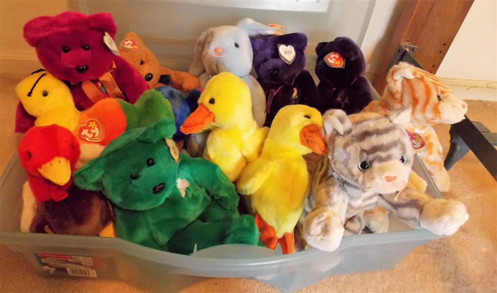 Box of Ty Stuffed Animals in Plastic Storage Tote includign Bears, Cats, Ducks, Rabbits, Catapillar, Princess Diana Bear- 12 Total  all with Original Ear Tags
