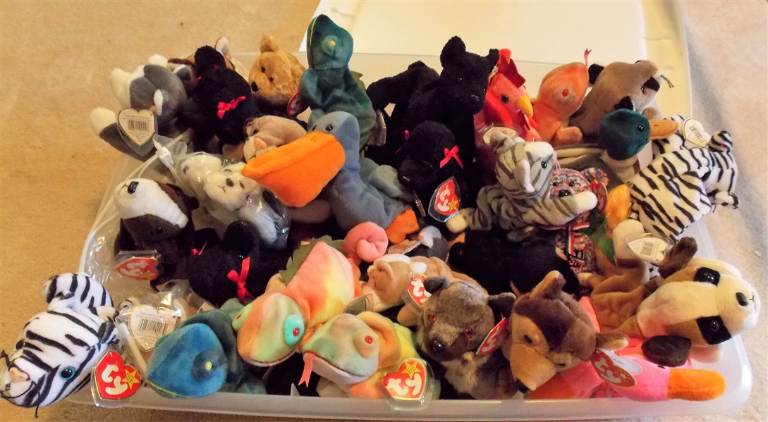 Plastic Storage Box Full of Ty Beanine Babies including Poodles, Dinosaurs, Dogs, Flamingos, Iguanas, Rooster, Pelican, Etc. - 40 Total  all with Original Ear Tags