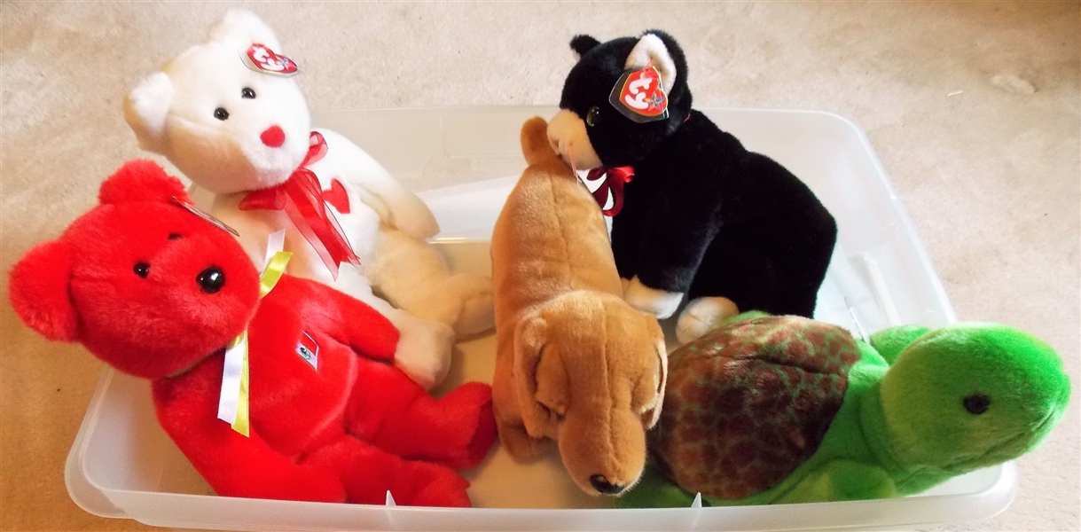 5 Ty Beanie Buddies in Storage Container - Dog, Bears, Turtle -  all with Original Ear Tags