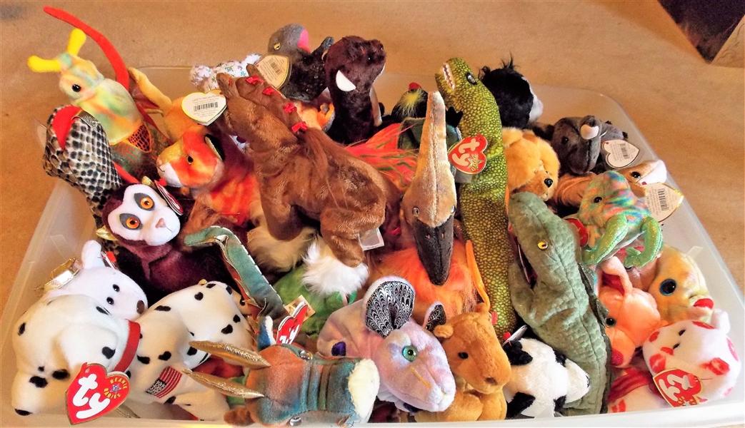 Plastic Storage Container of TY Beanie Babies including Horses, Dragon, Beetle, 36 Total 