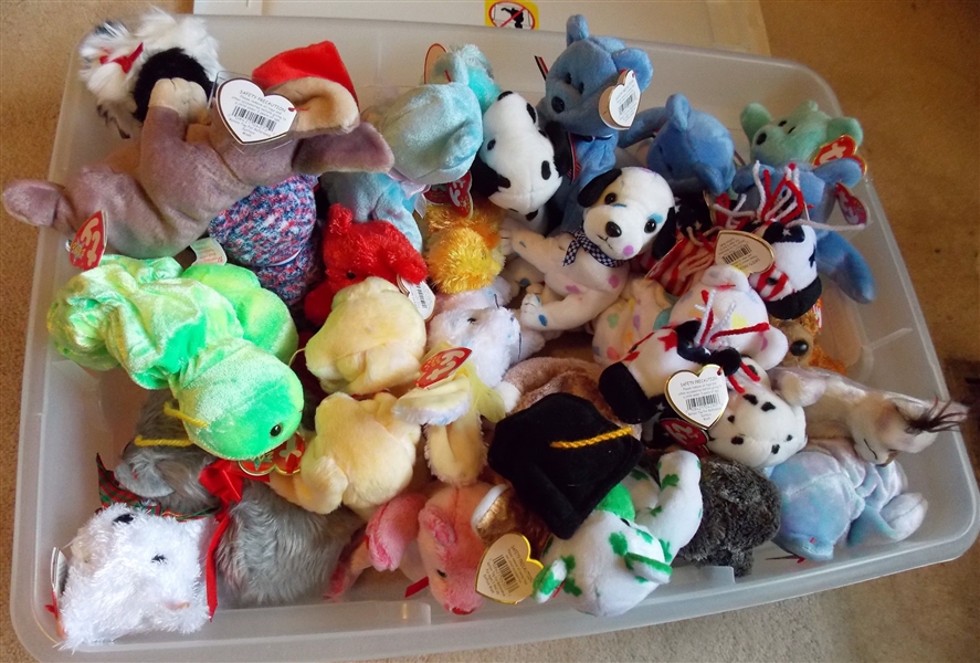 Plastic Storage Container of TY Beanie Babies including Dogs, Bears, Caterpillar, Rabbit, USA Horse - 35 Total  all with Original Ear Tags