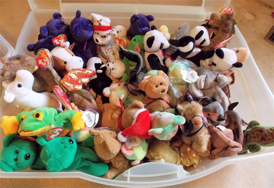 Plastic Storage Container of Ty Beanine Babies including Bats, Camels, Bears, Goose, Dragon, and Cows - 44 Total  all with Original Ear Tags