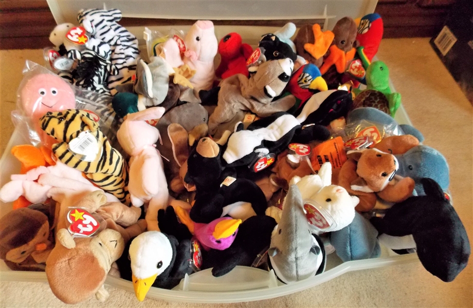 Plastic Storage Box Full of TY Beanie Babies including Ardvark, Whale, Pigs, Moose, Racoon , Birds, Zebra, Sheep, Platypus - 58 Total  all with Original Ear Tags