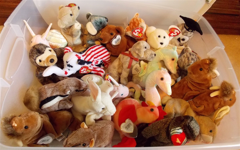 Plastic Storage Box Full of TY Beanie Babies including Seahorse, Walrus, Owl, Snails, Sloth - 24 Total  all with Original Ear Tags