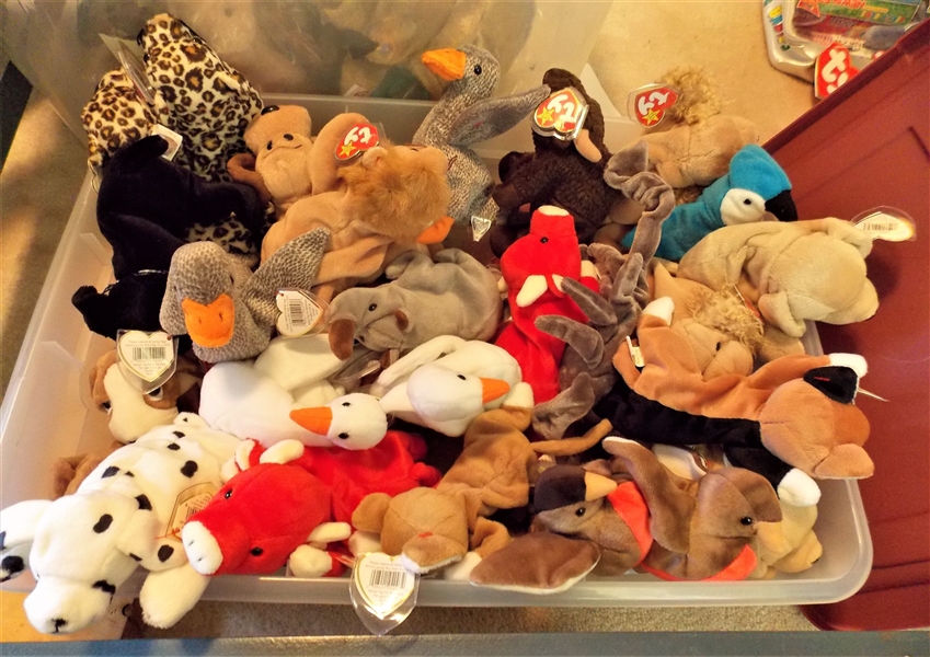 Plastic Storage Box Full of TY Beanie Babies including Bulls, Birds, Lions, Cats, Mc Donalds, Etc. - 31 Beanie Babies - Not including McDonalds