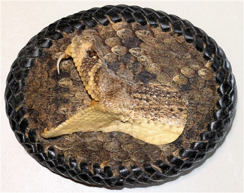 Rattlesnake Belt Buckle - Measures 3 1/4" by 4 1/4"