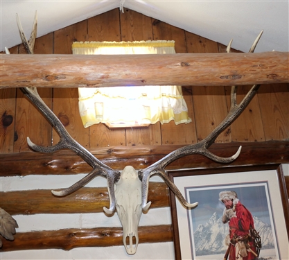 Faux Elk Mount - 46 Spread