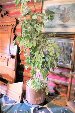 Faux Fichus Tree in Large Hammered Copper Pot - Pot Measures 13 tall 16 Across