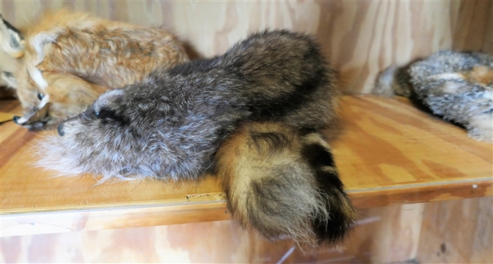 Raccoon Hat, Red Fox Hat, and Grey Fox Hat - Grey Fox Need Tail Attached