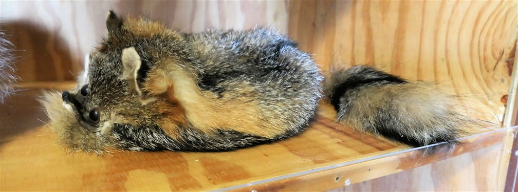Raccoon Hat, Red Fox Hat, and Grey Fox Hat - Grey Fox Need Tail Attached