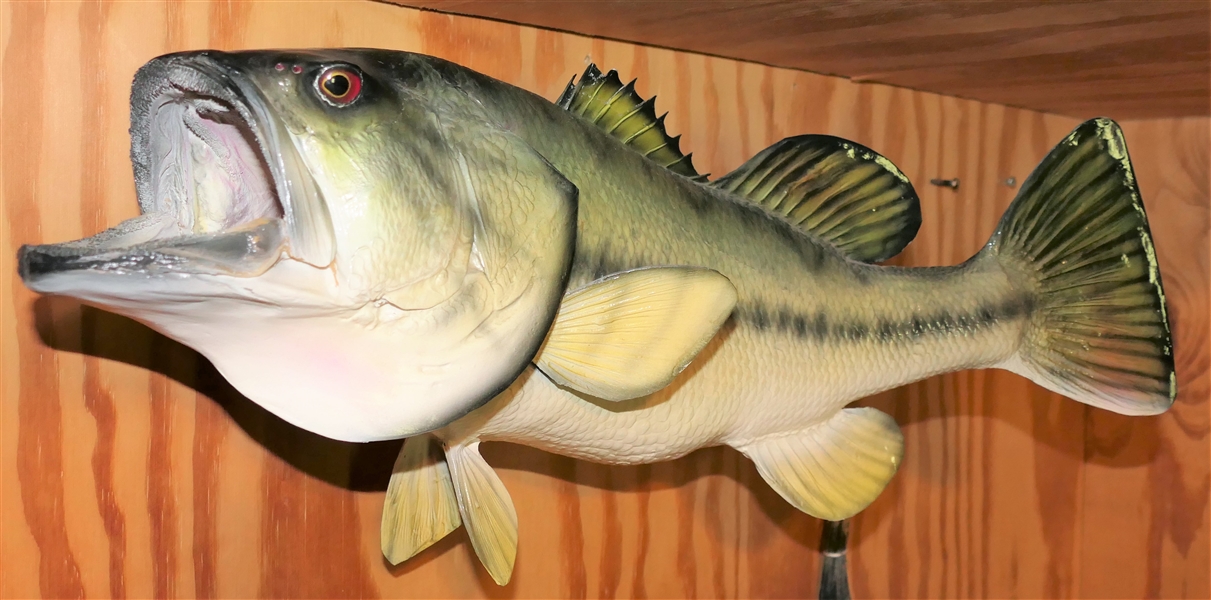 Bass Fish Mount 20" Long