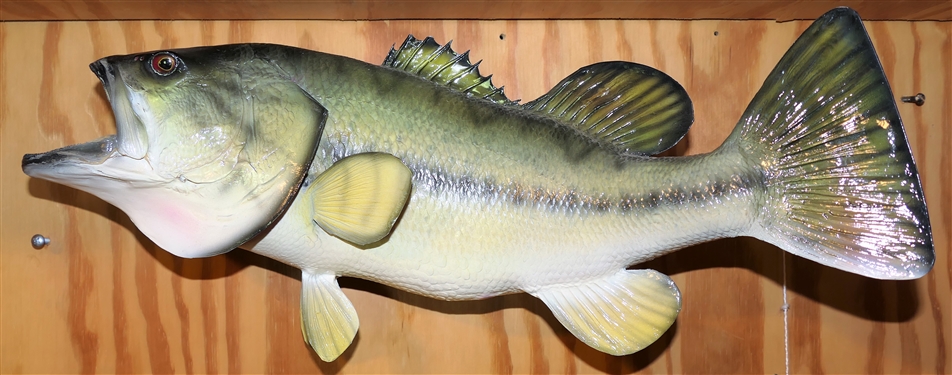Bass Fish Mount 20 Long