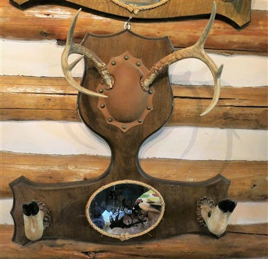 Deer Antler and Hoof Gun Rack with Mirror - Measures 23 by 24