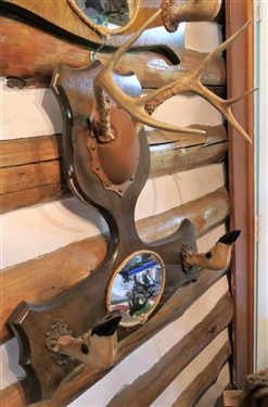 Deer Antler and Hoof Gun Rack with Mirror - Measures 23 by 24