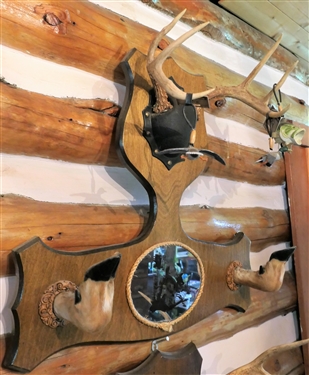 Deer Antler and Hoof Gun Rack with Mirror - Measures 23 by 24