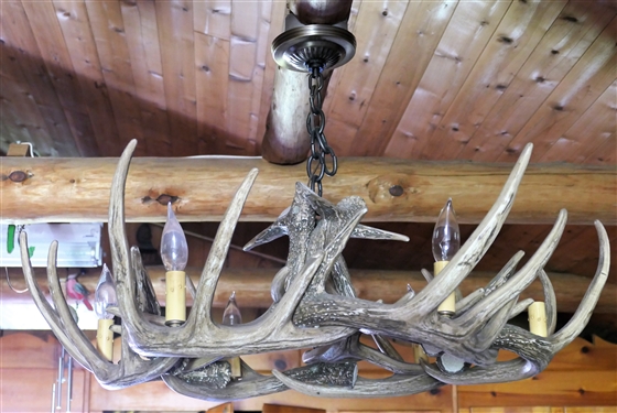 Deer Antler Style Chandelier - 6 Light - 26 Wide
