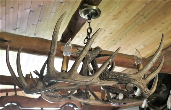 Deer Antler Style Chandelier - 6 Light - 26 Wide