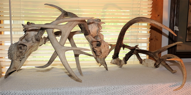 4 Deer Racks - 6 Point, and 2 Interlocked