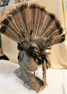 Life-size Standing Turkey Mount