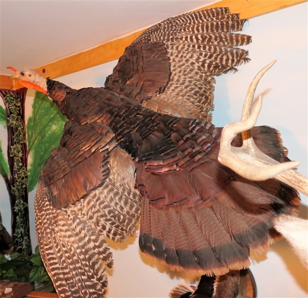 Flying Turkey Life Size Full Body Mount - Not on Branch or Plaque - Just Bird Mount