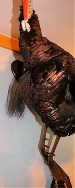 Flying Turkey Life Size Full Body Mount - Not on Branch or Plaque - Just Bird Mount