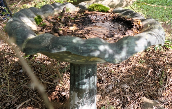 Concrete Bird Bath 24 Tall