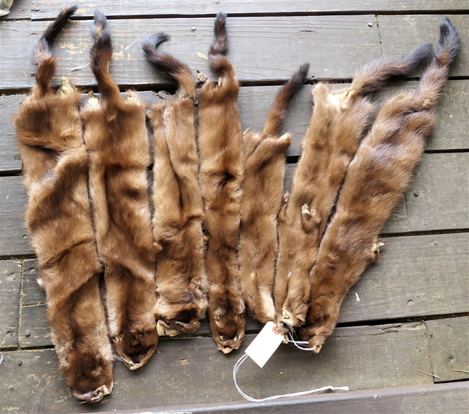 7 Mink Pelts