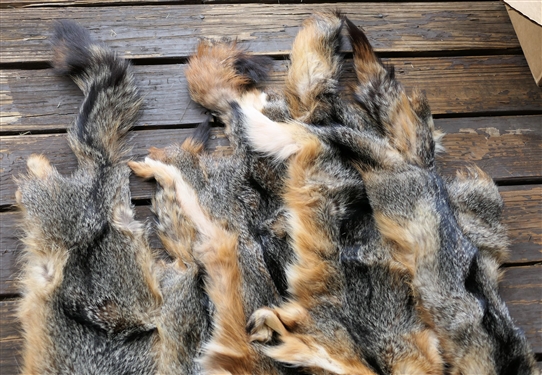 5 Fox Pelts