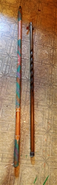 2 Walking Sticks - Trail Blazer Walking Sticks 4'7 and Colorfully Painted Stick with Lizards - 64