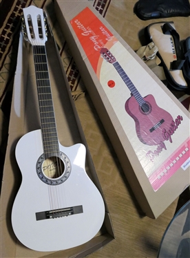 White Pony Guitar in Original Box