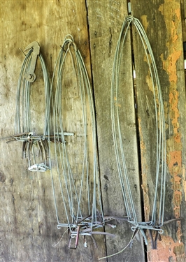 Lot of Fur Stretchers - 3 Sizes