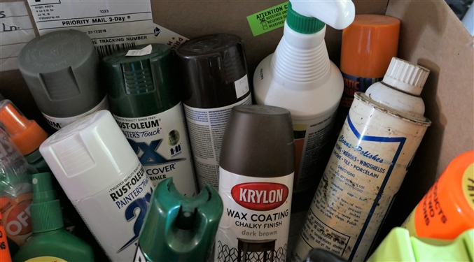Box Lot of Paint, Insect Repellant, and Cleaning Products