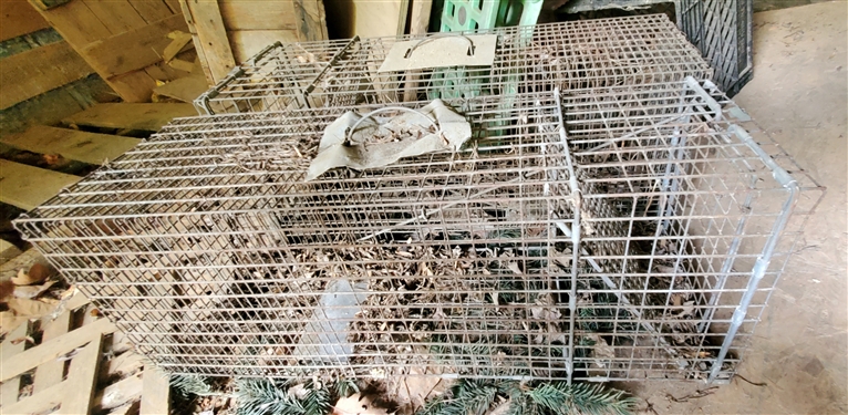 2 Wire Animal Traps