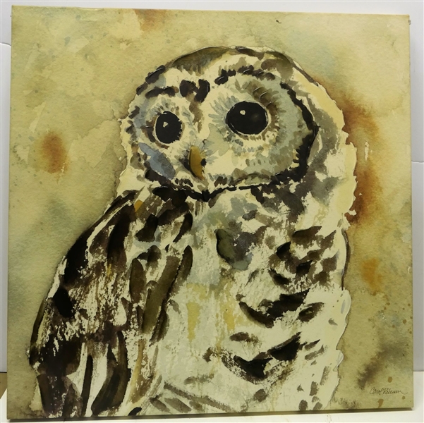 Pier One Owl Print on Canvas - Not Framed  - Measures 24" by 24"